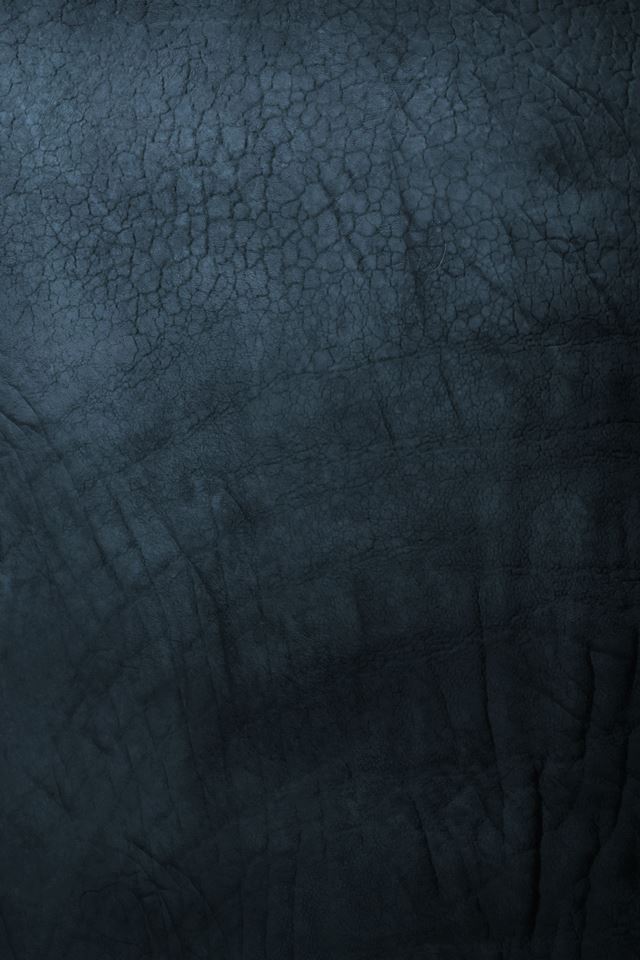 Rhino Skin Pattern iPhone 4s wallpaper 