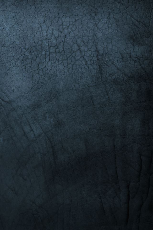 640x960 Rhino Skin Pattern - black iPhone 4s Wallpaper