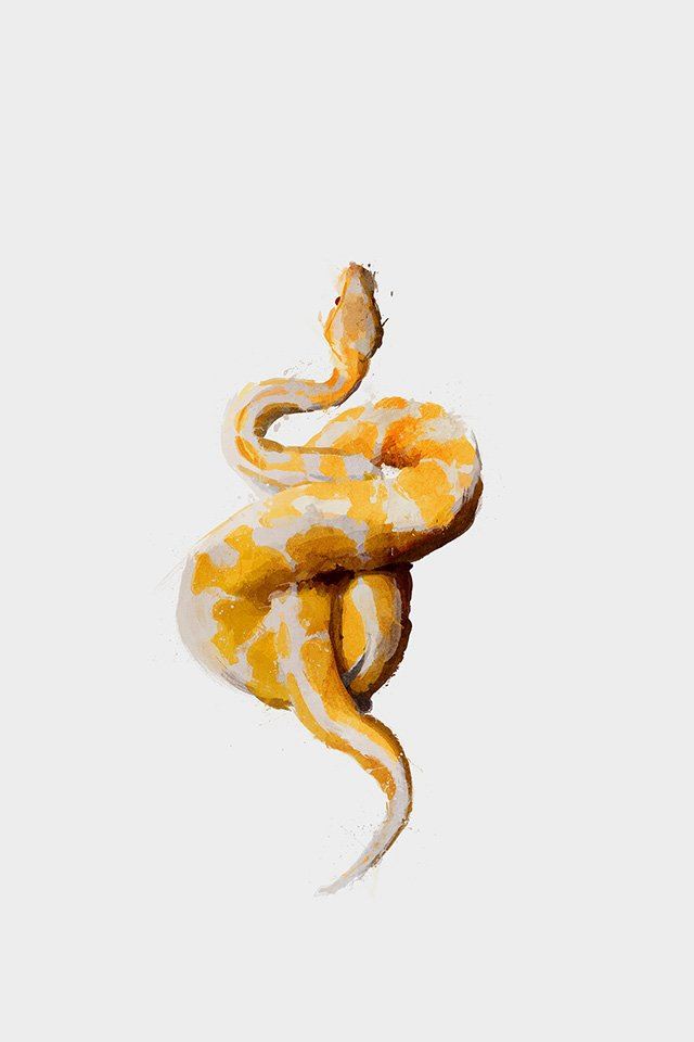 640x960 Snake Illust Minimal Art - fierce iPhone 4s Wallpaper