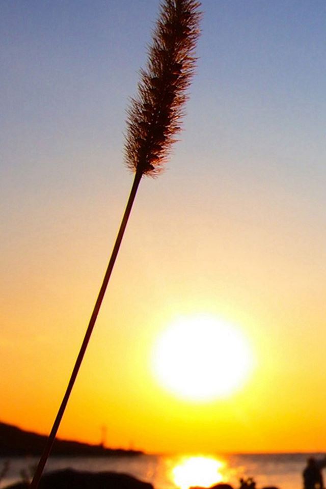 640x960 Nature Calm Sunset Mood - lonely iPhone 4s Wallpaper
