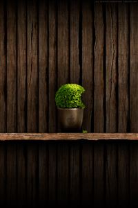 Plant Shelf wallpaper