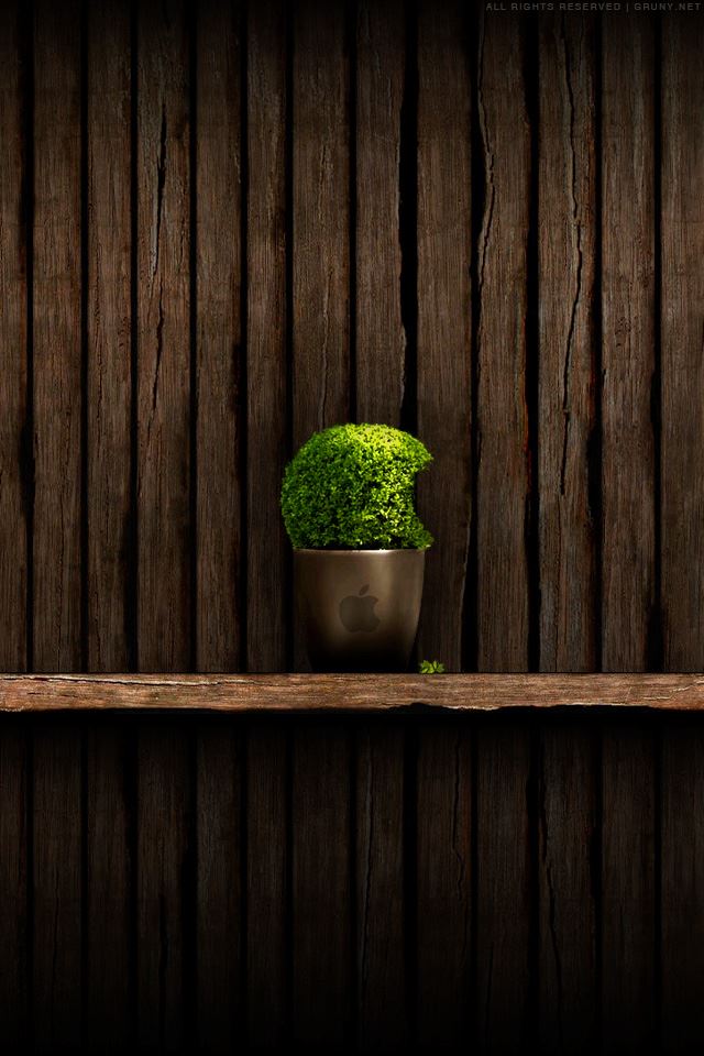 640x960 Plant Shelf - plant iPhone 4s Wallpaper