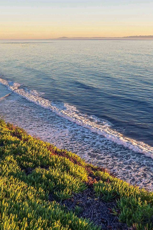 640x960 Peace Nature Wood Sea Ocean Nature - grassland iPhone 4s Wallpaper