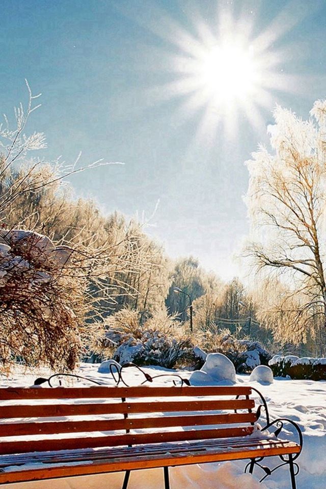 Winter Snowy Sunshine Bright Bench Park iPhone 4s Wallpapers Free Download