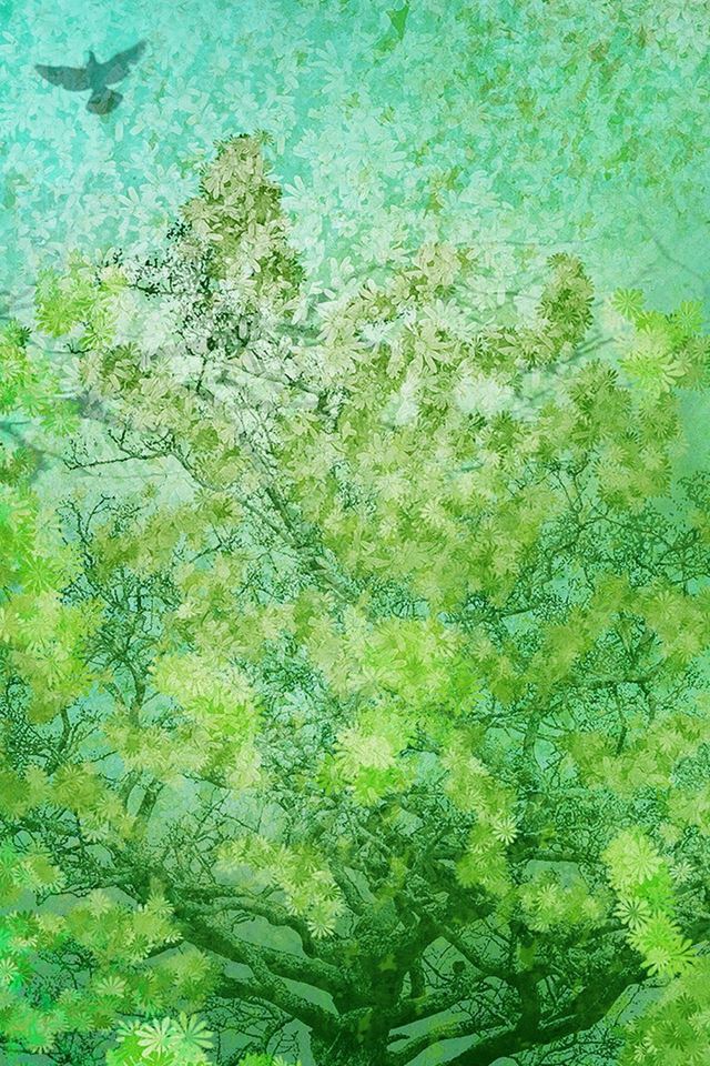 640x960 Flower Spring Art Green Illust Happy - bird iPhone 4s Wallpaper