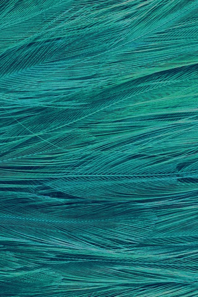 640x960 Feather Blue Bird Pattern - bird iPhone 4s Wallpaper