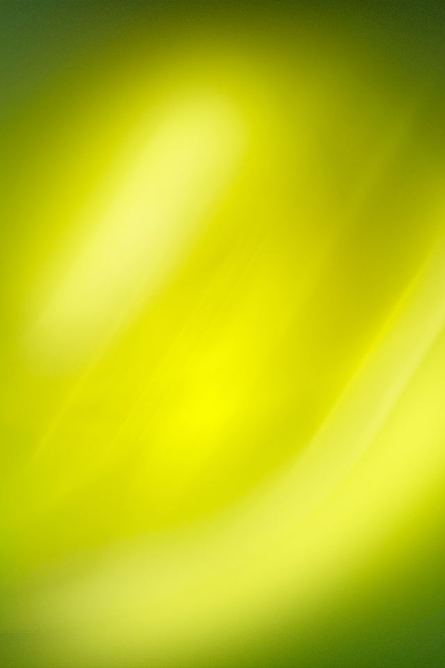 640x960 Lime Swirls - lime iPhone 4s Wallpaper