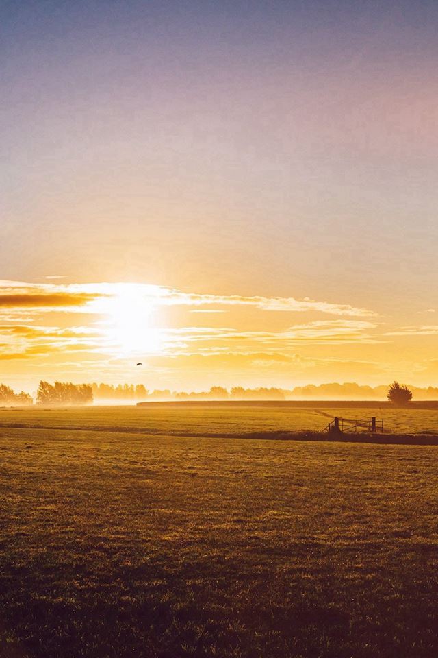 640x960 Sunny Morning Farm Peace Nature Flare - flare iPhone 4s Wallpaper