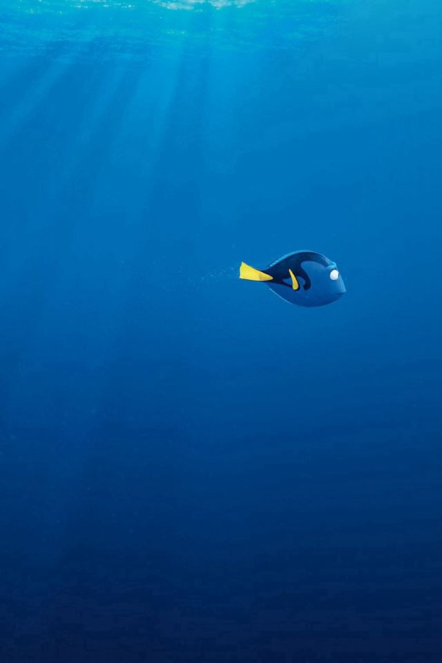 640x960 Finding Dory Disney Pixar Anime Art Illustration - disney iPhone 4s Wallpaper