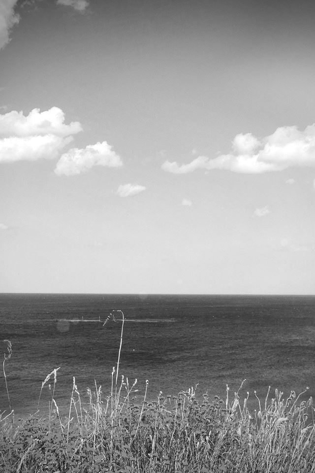 640x960 Sea Cloud Flower Nature Old Nostalgia Dark Bw - bw iPhone 4s Wallpaper