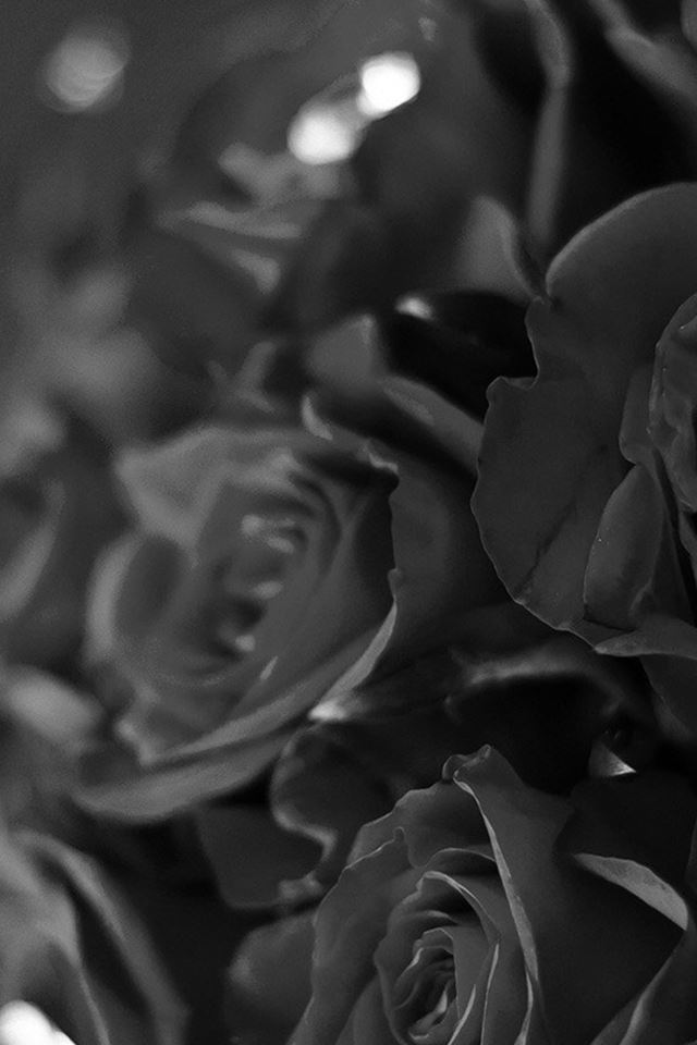 640x960 Flower With Diamond Dark Bw Love Propose - love iPhone 4s Wallpaper