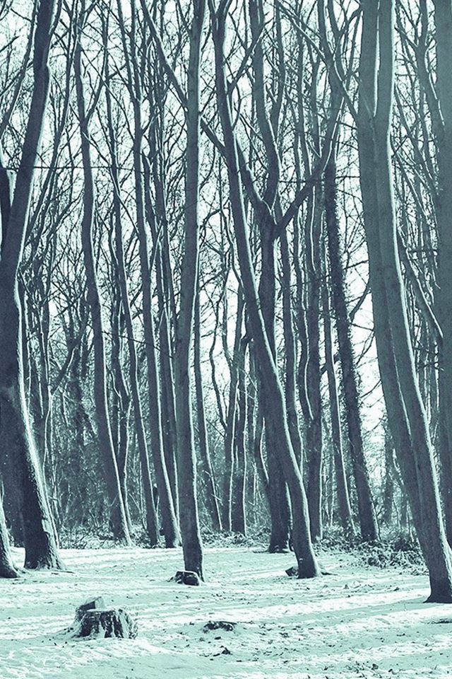 640x960 Cold Winter Forest Snow Nature Mountain Blue - mountain iPhone 4s Wallpaper