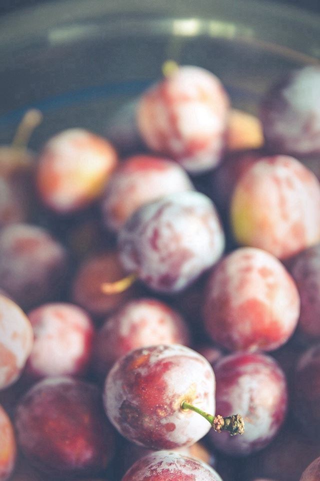 Berry Grape Food Flower Nature iPhone 4s wallpaper 