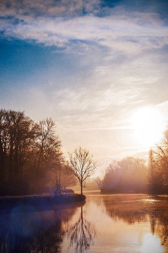 640x960 Lake Calm Tree Mountain Sunny Day Nature Vignette - tree iPhone 4s Wallpaper
