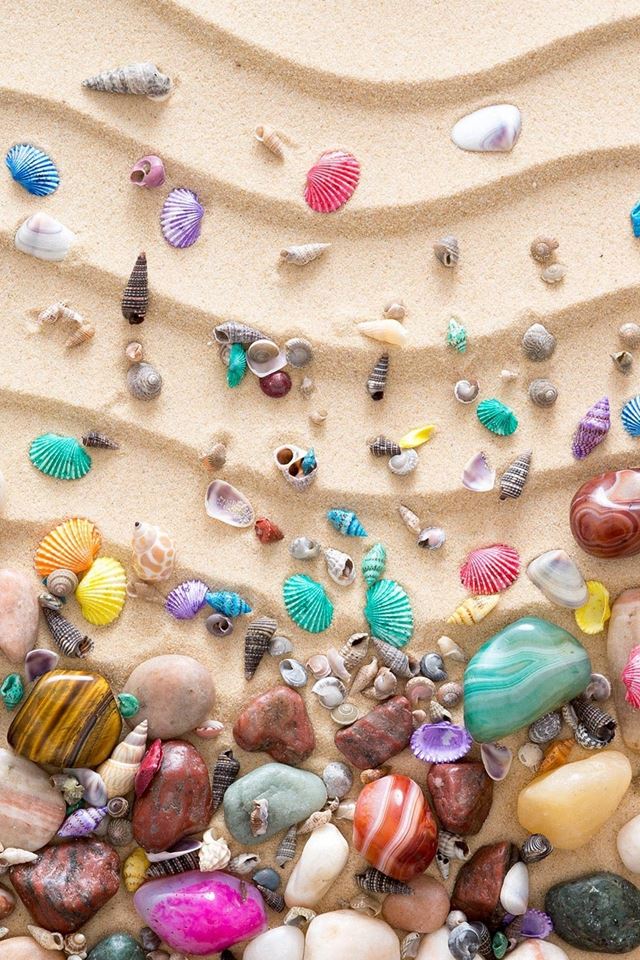 640x960 Colorful Seashell On Sand - colorful iPhone 4s Wallpaper