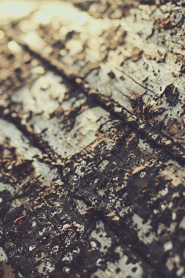 640x960 Boat Sunrise Tree Texture - tree iPhone 4s Wallpaper