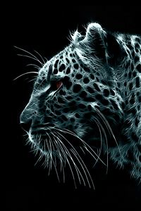 Snow Leopard wallpaper