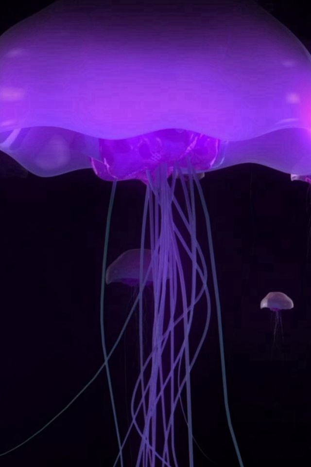 640x960 Ocean Undersea Transparent Luminous Jellyfish - transparent iPhone 4s Wallpaper
