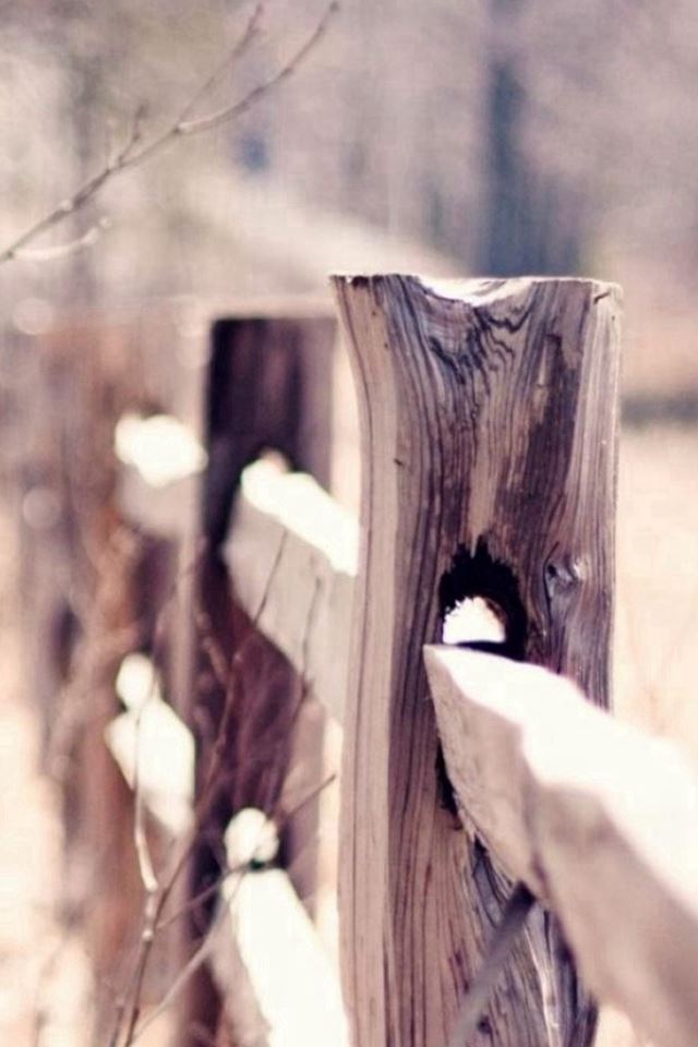 640x960 Nature Vintage Wooden Fence Bokeh - fence iPhone 4s Wallpaper
