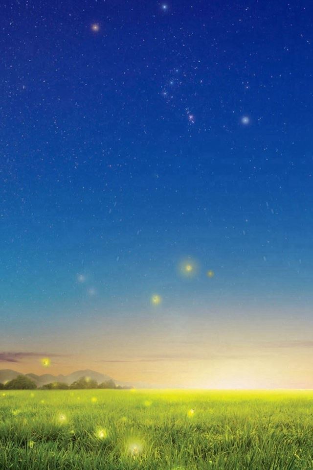 640x960 Wonder Night Glowworm Flying Lawn Field - lawn iPhone 4s Wallpaper