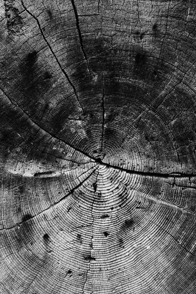 640x960 Wood Line Texture Old Dark Pattern Bw - bw iPhone 4s Wallpaper