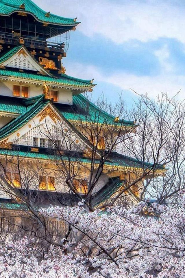 640x960 Cherry Blossoms Temple Architecture - cherry iPhone 4s Wallpaper