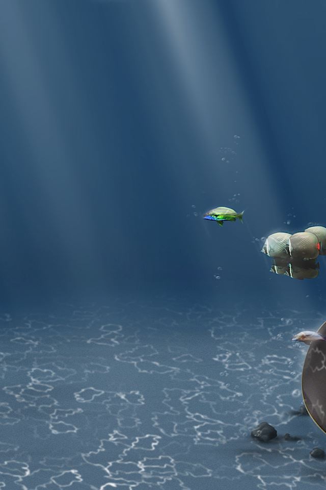 640x960 Under The Water - animals iPhone 4s Wallpaper