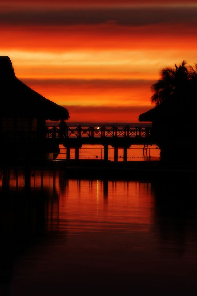 640x960 Tropical Sunset - sunset iPhone 4s Wallpaper