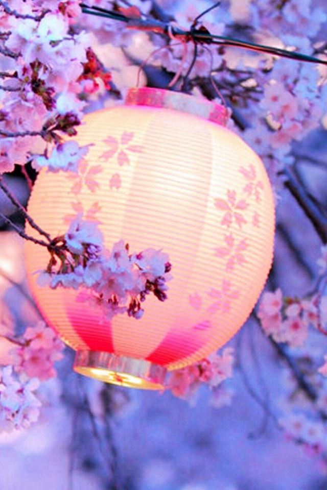 640x960 Night Lantern Flower Trees  - tree iPhone 4s Wallpaper