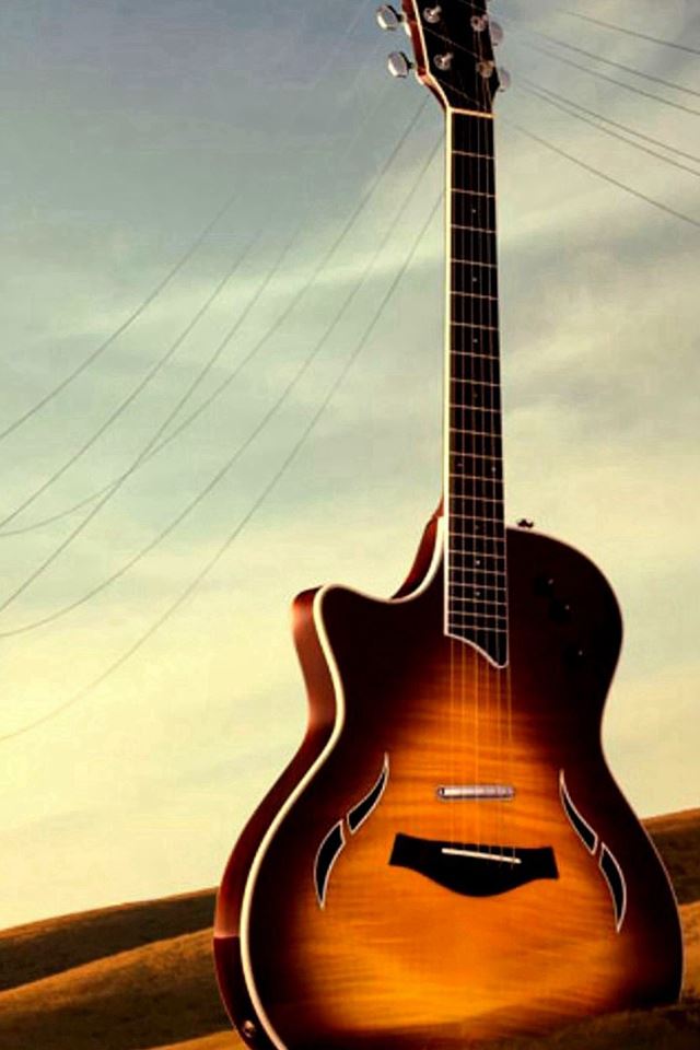640x960 Guitar Utility Wither Field -  iPhone 4s Wallpaper