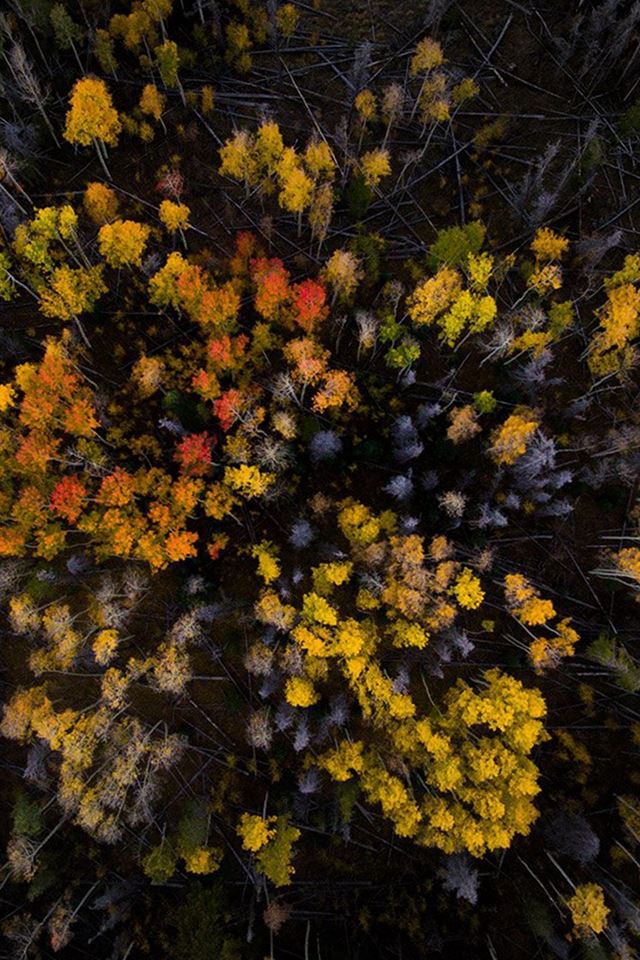640x960 Wood Mountain Top Sky Color Fall - mountain iPhone 4s Wallpaper