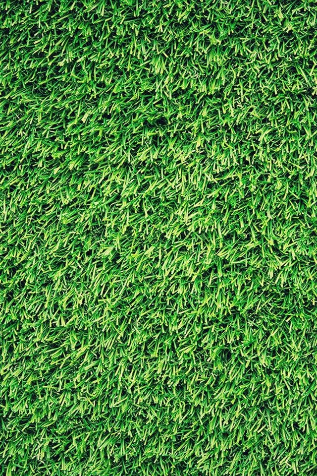 640x960 Grass Green Pattern Nature - lawn iPhone 4s Wallpaper