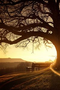 Sunrise Farm wallpaper