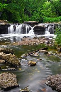 Babbling Brook wallpaper