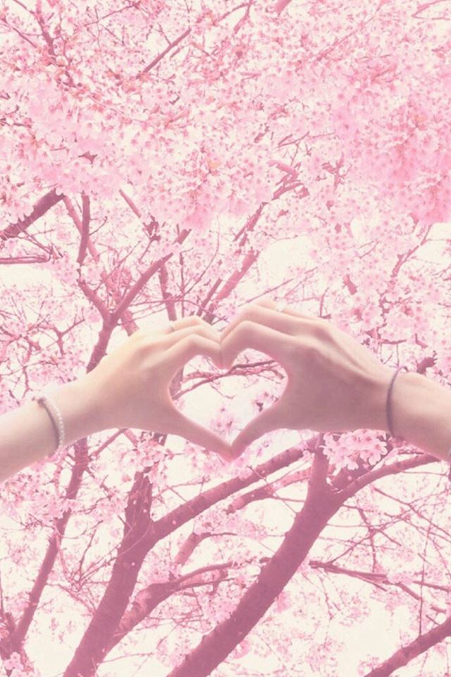 Blossom Love Finger Shape Romantic iPhone 4s wallpaper 