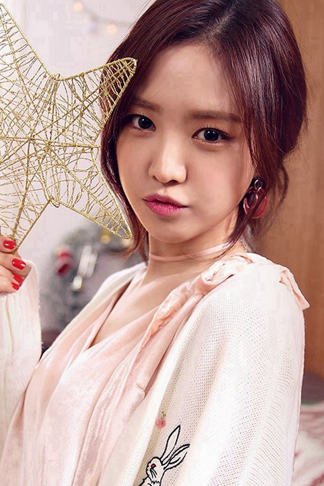 640x960 Kpop Girl Cute Christmas Apink - beauty iPhone 4s Wallpaper