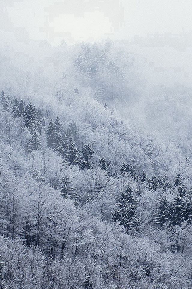 Mountain Wood Winter Christmas White iPhone 4s Wallpapers Free Download