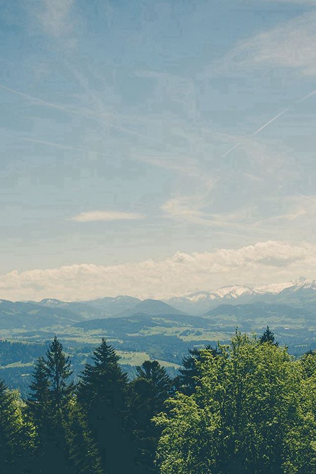 640x960 Mountain Valley Pine Canopy Vintage - bright iPhone 4s Wallpaper