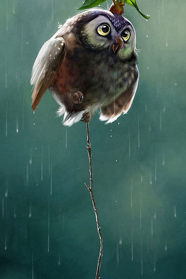 640x960 Cute Owl Flying High Rainy Day Covering Leaf - owl iPhone 4s Wallpaper