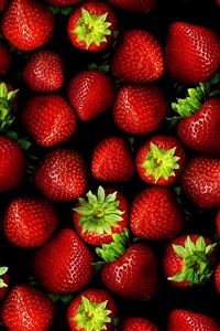 Strawberries wallpaper