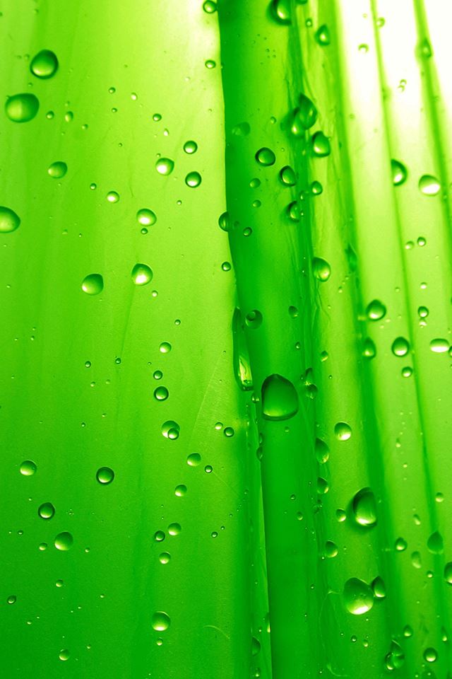 640x960 Green Drops - drops iPhone 4s Wallpaper