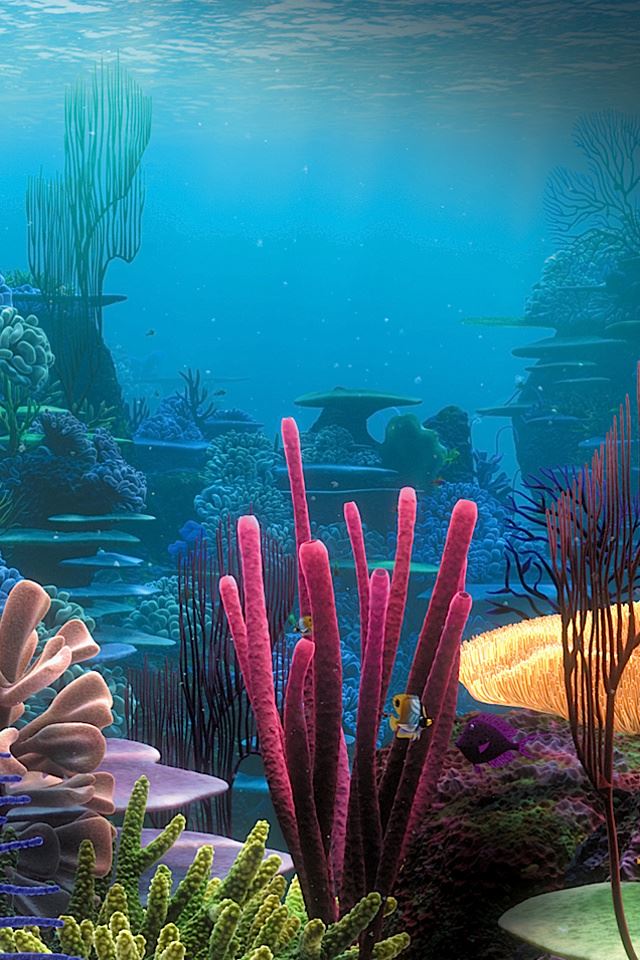 Tropical Reef iPhone 4s wallpaper 