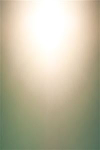 Golden Light wallpaper