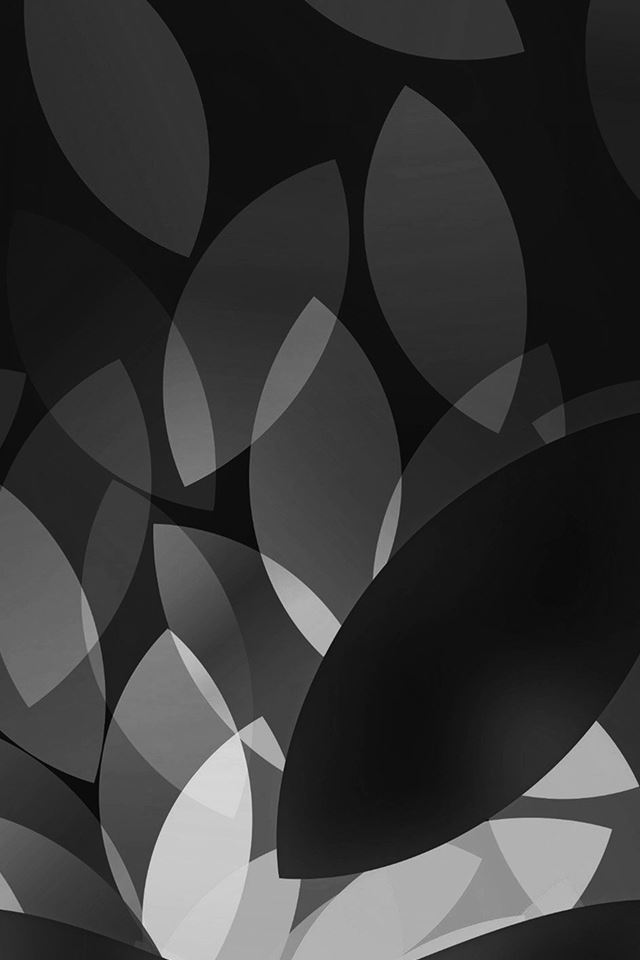 640x960 Apple Bw Dark Logo Illustration Art - logo iPhone 4s Wallpaper