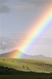 Perfect Rainbow wallpaper