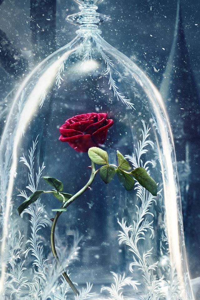 640x960 Beauty And The Beast Castle Icy Bell Rose Snowflake - snowflake iPhone 4s Wallpaper