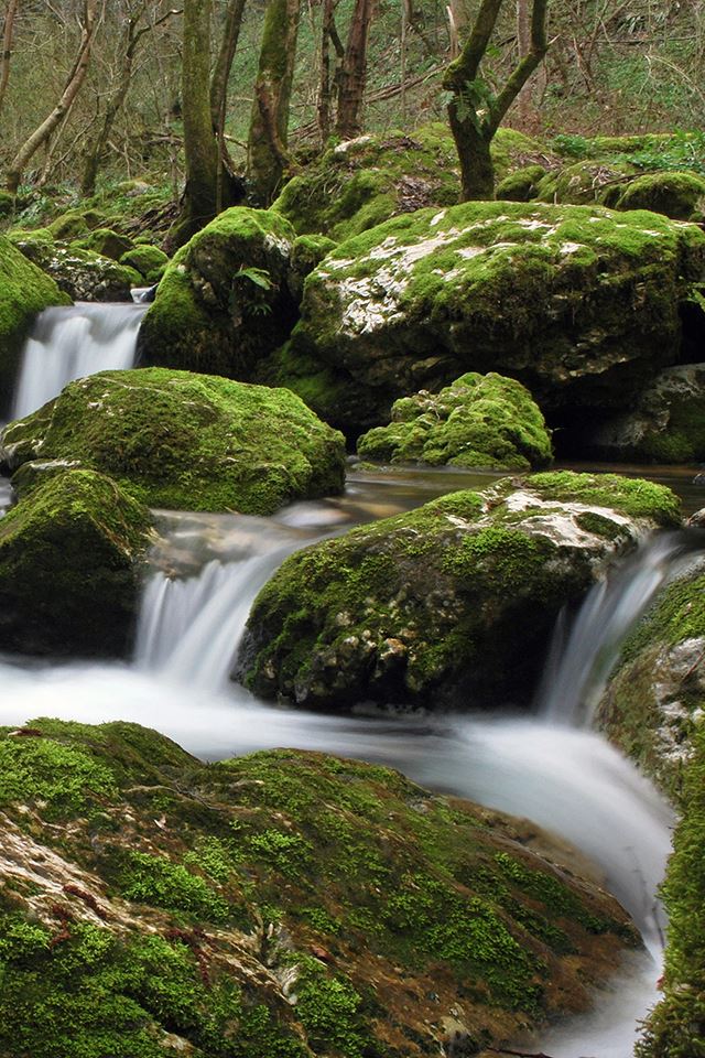 640x960 Mossy Rocks - rocks iPhone 4s Wallpaper