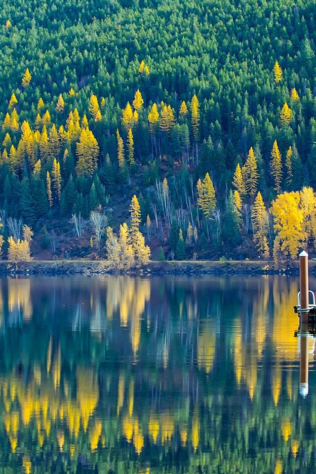 640x960 Lake View Wonderful Nature - forest iPhone 4s Wallpaper