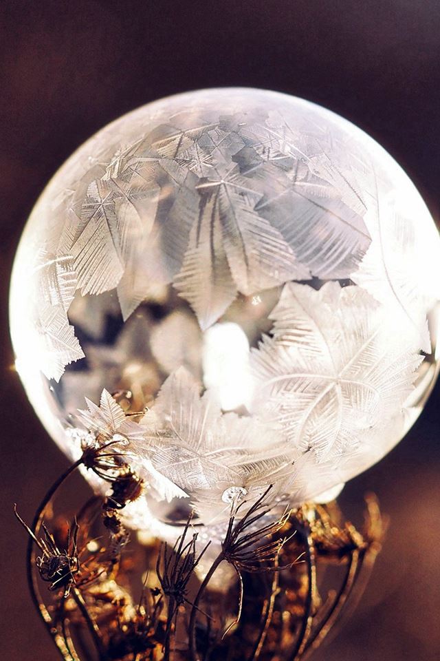 640x960 Winter Cold Frozen Bubble Bokeh Nature Dark - frozen iPhone 4s Wallpaper