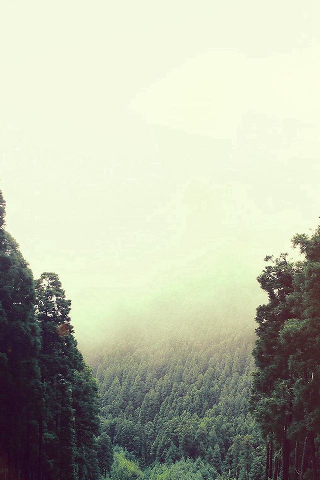 640x960 Mountain Mirror Green Wood Nature Flare -  iPhone 4s Wallpaper